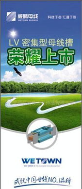 廣告策劃與產(chǎn)品設(shè)計 從概念到營銷的全面指南