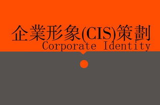 廣告、營銷、品牌與企業策劃 戰略協同下的廣告設計核心